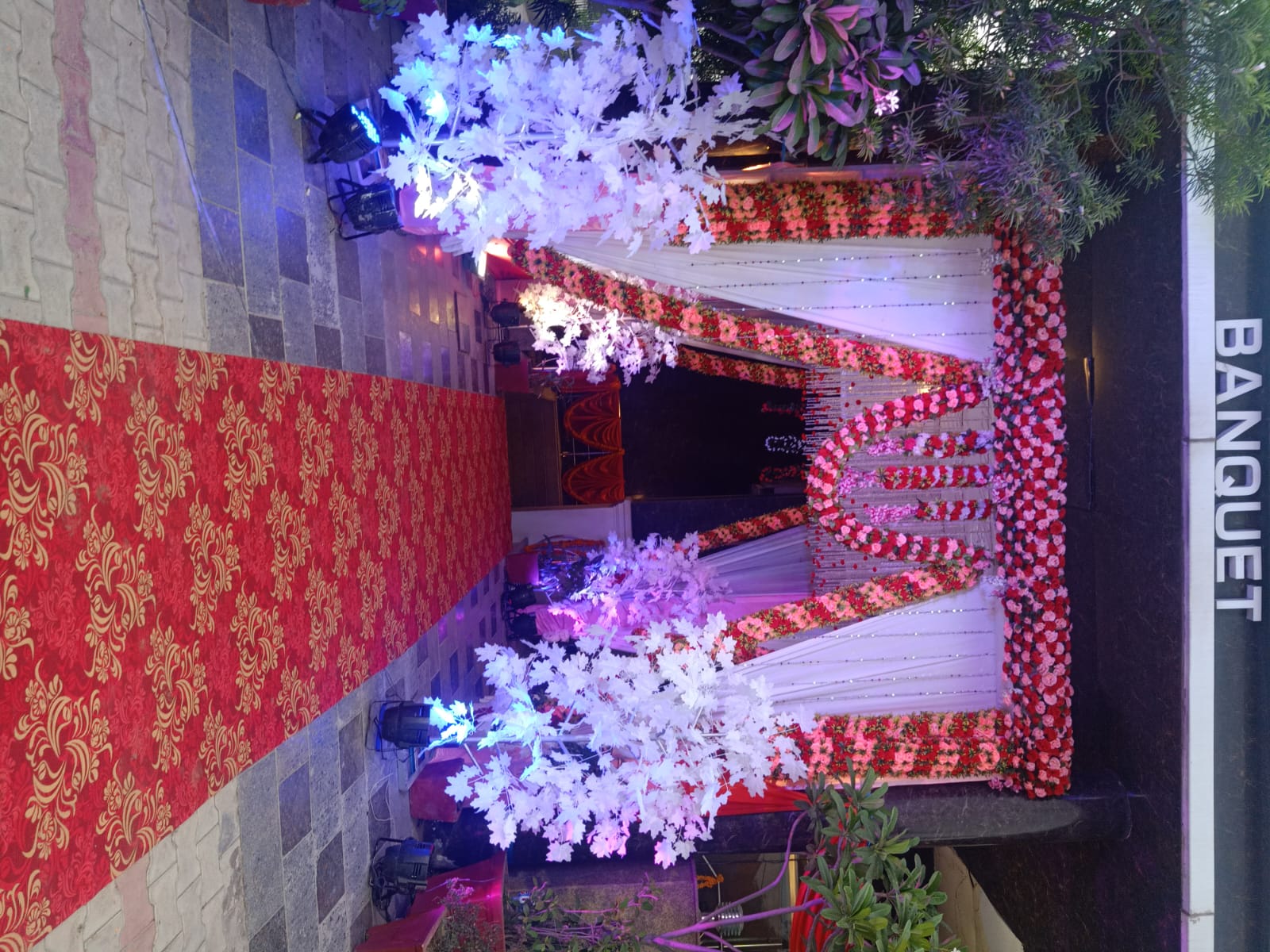 Gallery Photo 33